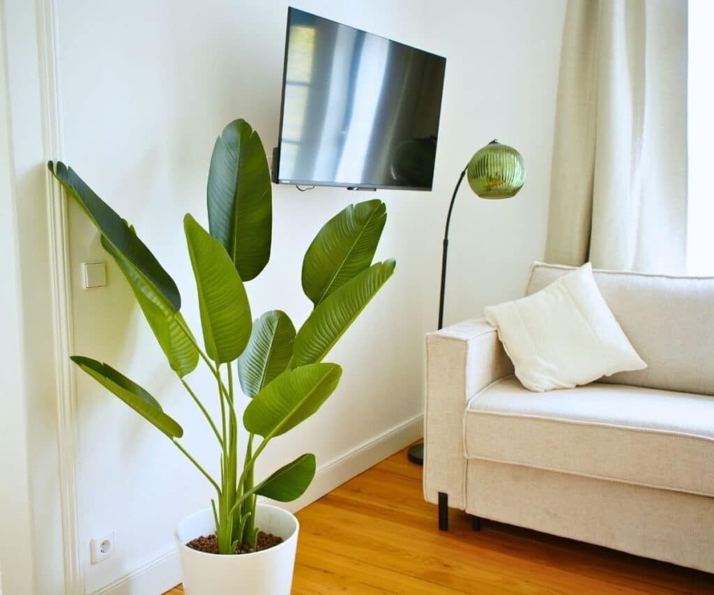 Königsgleis Apartment 2-2